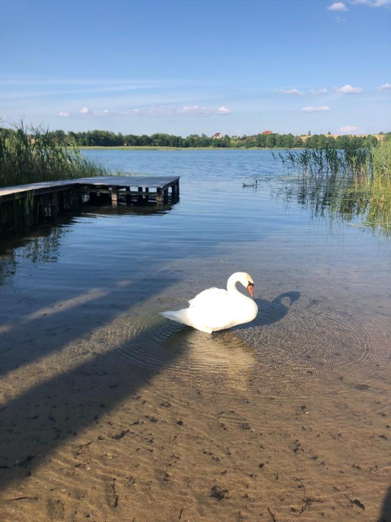 Domek Letniskowy Krejwince Luaran gambar